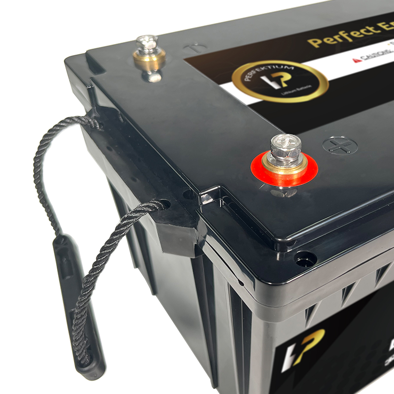 Trakční baterie 100 Ah, 25,6 V, Perfektium LiFePo4 Lithium, přes 3000 cyklů, 5 let záruka, s vestavěným Smart BMS, Bluetooth, PB-25.6V 100Ah Perfektium